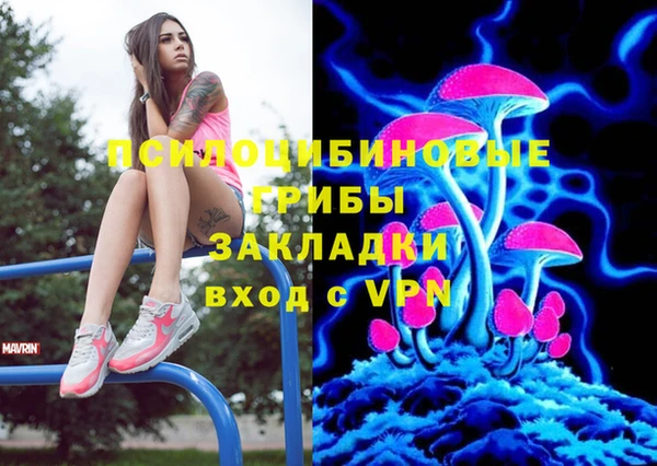 молекула духа Осинники