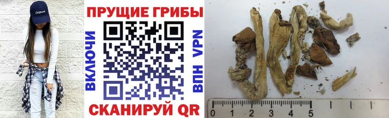 даркнет сайт  Снежногорск  Галлюциногенные грибы MAGIC MUSHROOMS 